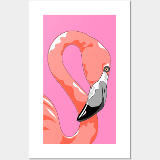 Pink Flamingo Posters and Art